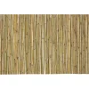 Arella Sea in Bamboo h250x300 cm