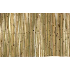 Arella Sea in Bamboo h200x300 cm