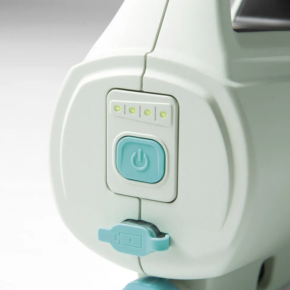 Aspirapolvere Piscina Ricaricabile ZR200 con Asta Telescopica