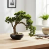 Bonsai di Pino Artificiale in vaso