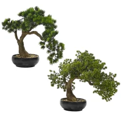 Bonsai di Pino Artificiale in vaso