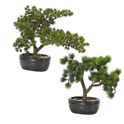 Bonsai di Pino Artificiale in vaso