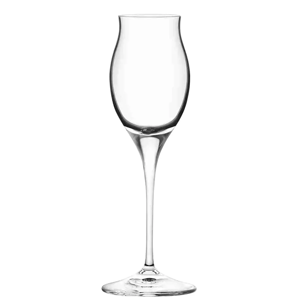 Calici Liquore Invino Spirits in vetro 10 cl