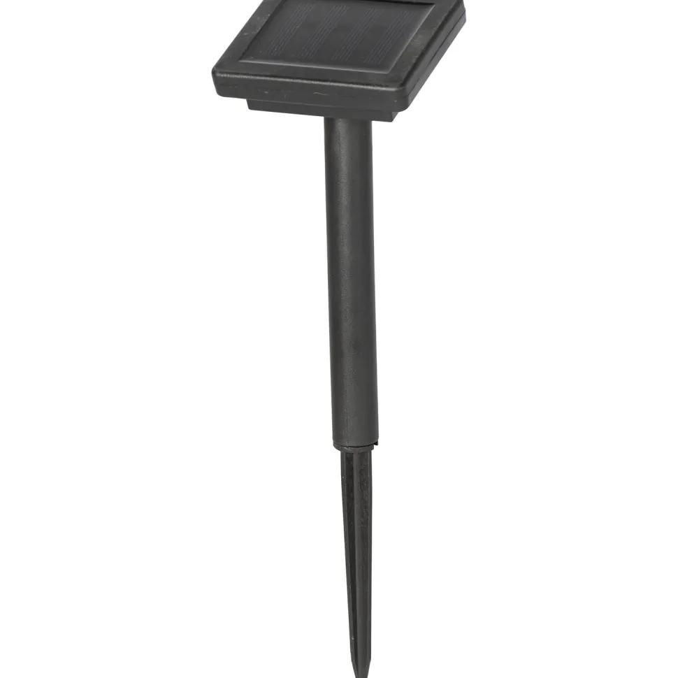 Catena Luminosa 10 Lampadine Solari Luce Multicolor da esterno