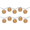 Catena luminosa 10 lanterne con pannello solare luce calda da esterno