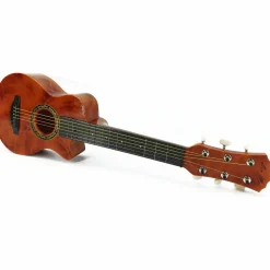 Chitarra Gipsy