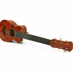 Chitarra Gipsy
