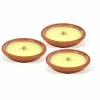 Citronella in terracotta diametro 14 cm