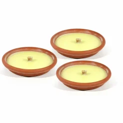Citronella in terracotta diametro 14 cm
