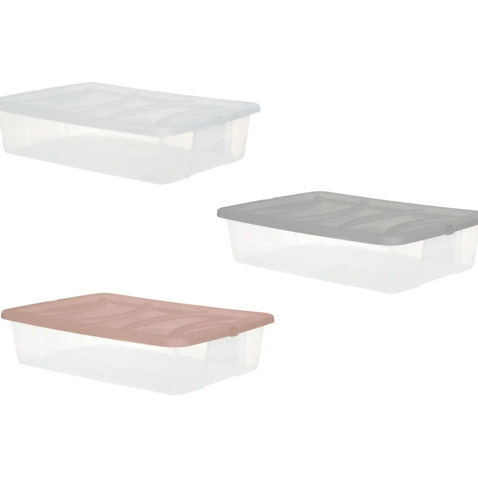 Contenitore Multiuso Storage Box Sottoletto 25 litri