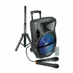 Diffusore amplificato con radiomicrofono PSB 12 600Watt