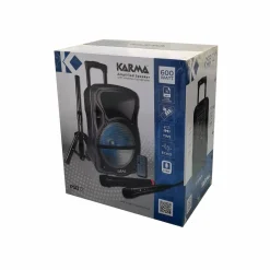 Diffusore amplificato con radiomicrofono PSB 12 600Watt