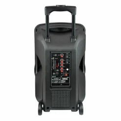 Diffusore amplificato con radiomicrofono PSB 12 600Watt