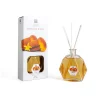 Diffusore di Profumo