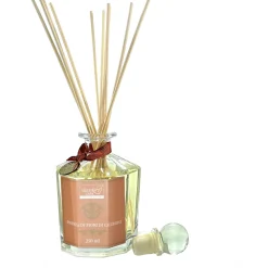 Diffusore per ambiente 250ml