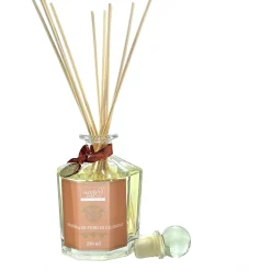 Diffusore per ambiente 250ml
