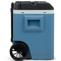 Frigo Portatile con Ruote e Maniglia Telescopica 42 Litri