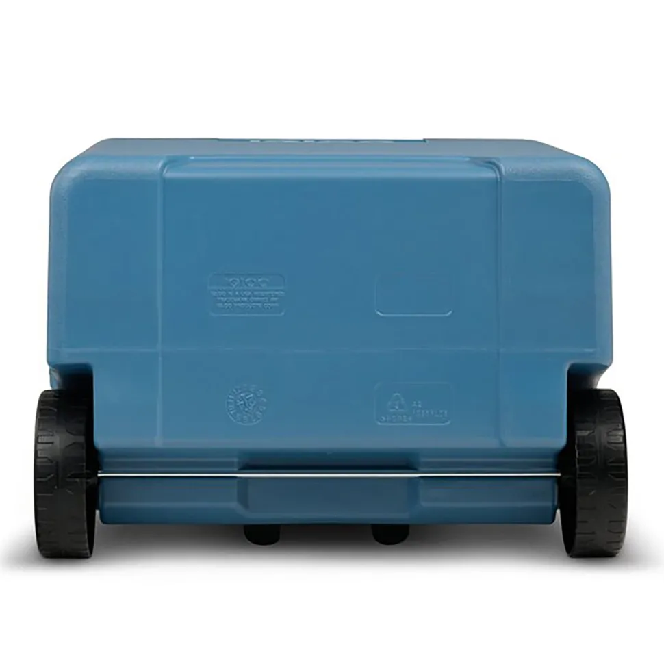 Frigo Portatile con Ruote e Maniglia Telescopica 42 Litri