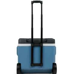 Frigo Portatile con Ruote e Maniglia Telescopica 42 Litri