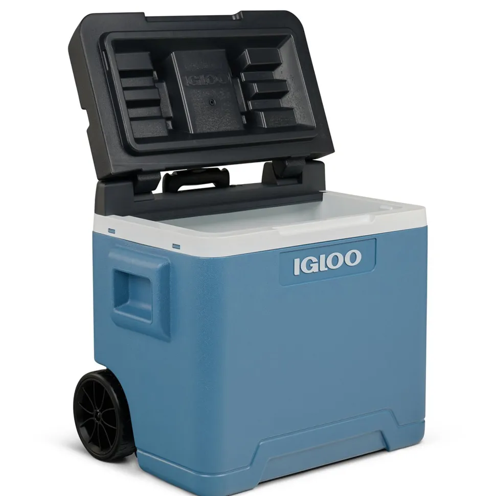 Frigo Portatile con Ruote e Maniglia Telescopica 42 Litri