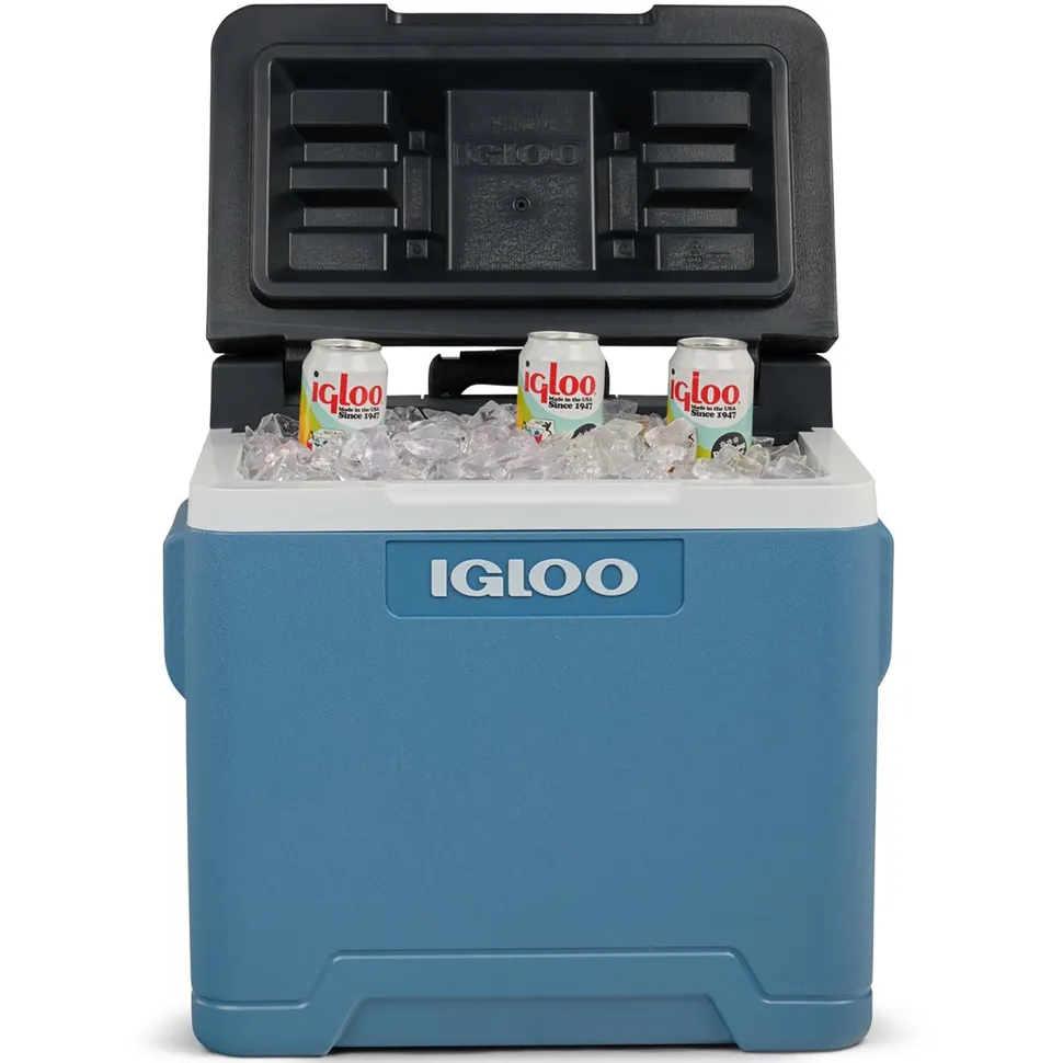 Frigo Portatile con Ruote e Maniglia Telescopica 42 Litri