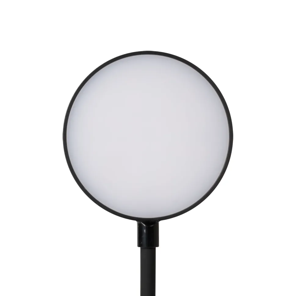 Lampada da Scrivania LED con Portapenne e Stand Smartphone Ricarica USB