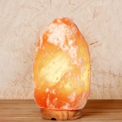 Lampada di Sale Rosa dell'Himalaya Dimmerabile 2-3 kg