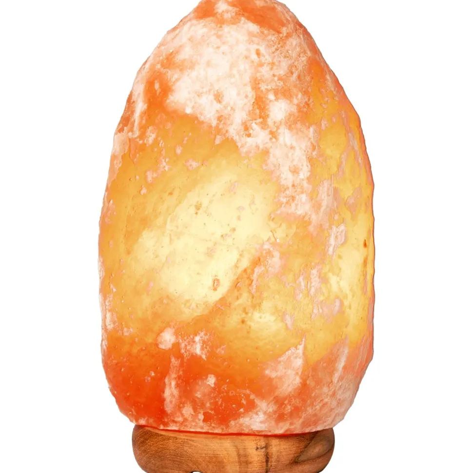 Lampada di Sale Rosa dell'Himalaya Dimmerabile 2-3 kg