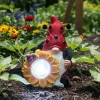 Lampada Solare Decorativa da Giardino Gnomo Luce Fredda