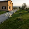 Lampada Solare LED Multicolor Decorativa Fiori h74 cm