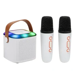 Mini Karaoke Portatile Bluetooth DLX416 con 2 Microfoni