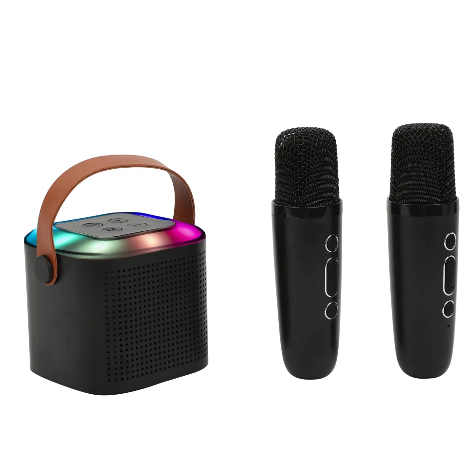 Mini Karaoke Portatile Bluetooth DLX416 con 2 Microfoni