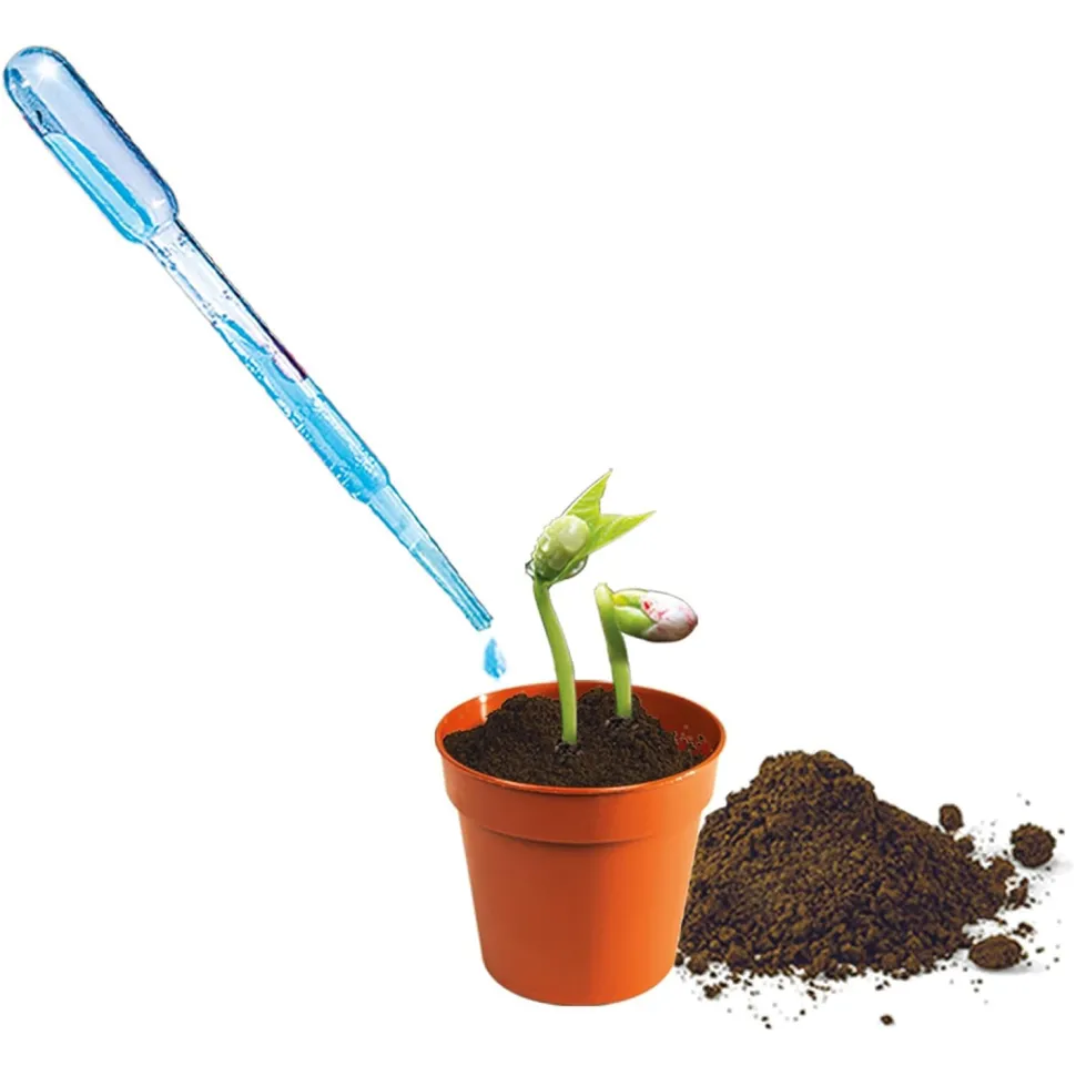 Mini Orto