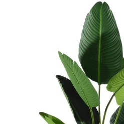 Pianta artificiale Banano in vaso h120 cm