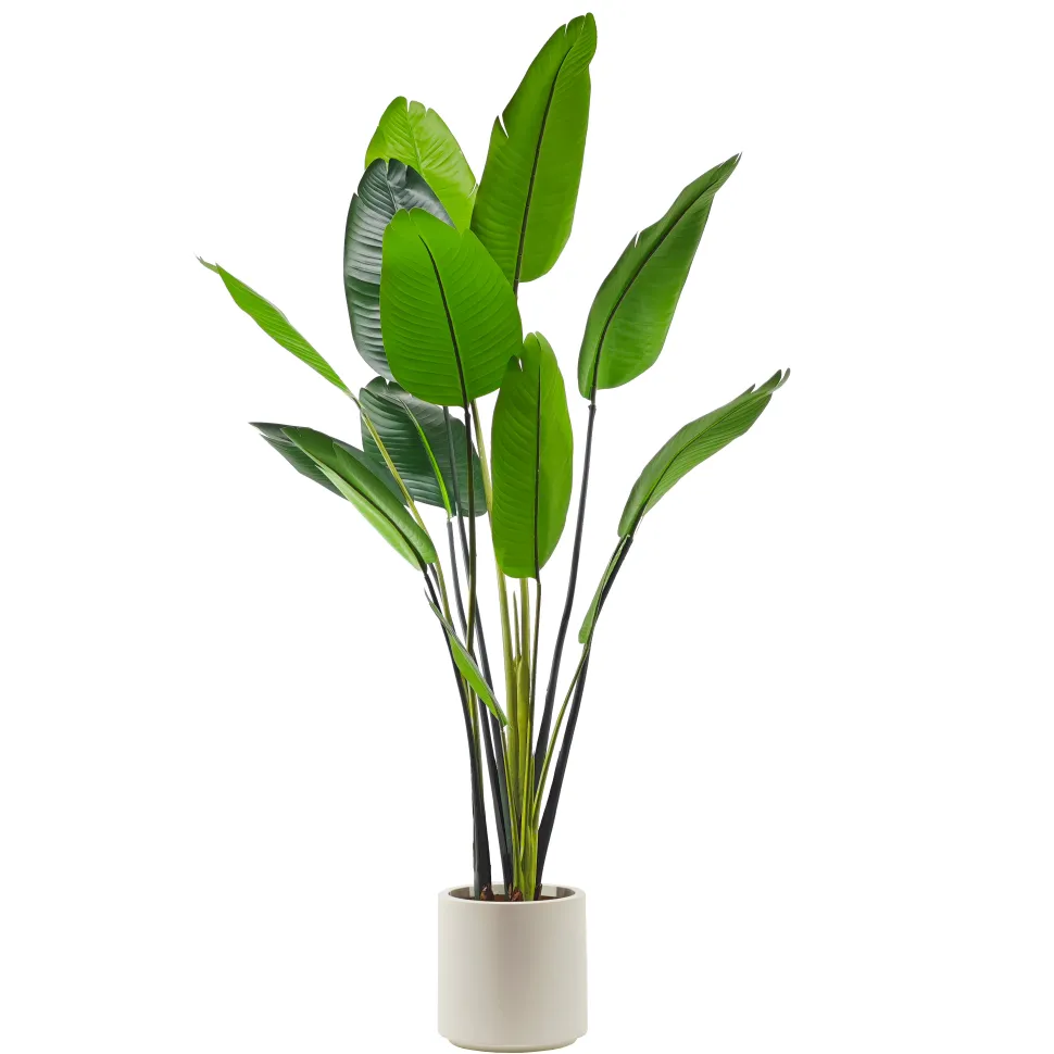 Pianta artificiale Banano in vaso