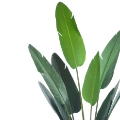 Pianta artificiale Banano in vaso h235 cm