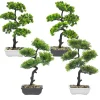 Pianta artificiale Bonsai in vaso