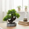 Pianta artificiale Bonsai in vaso