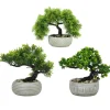 Pianta artificiale Bonsai in vaso