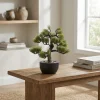 Pianta artificiale Bonsai in vaso h30 cm