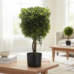Pianta Artificiale Bosso in vaso