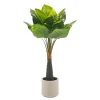 Pianta Artificiale Dieffenbachia in vaso
