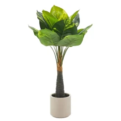 Pianta Artificiale Dieffenbachia in vaso