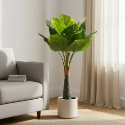 Pianta Artificiale Dieffenbachia in vaso