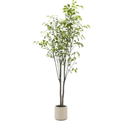 Pianta Artificiale Ficus in vaso
