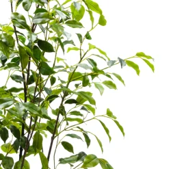 Pianta Artificiale Ficus in vaso