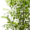 Pianta Artificiale Ficus in vaso