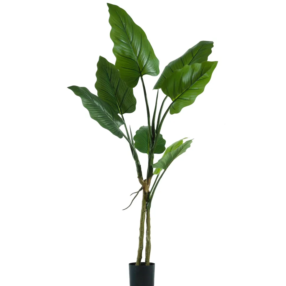 Pianta artificiale Filodendro in vaso h160 cm