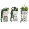 Pianta artificiale Grassa in vaso