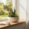 Pianta artificiale Grassa in vaso
